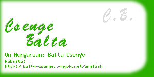 csenge balta business card